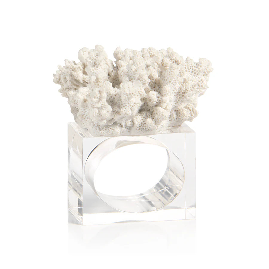 The Hidden Reef Napkin Holder