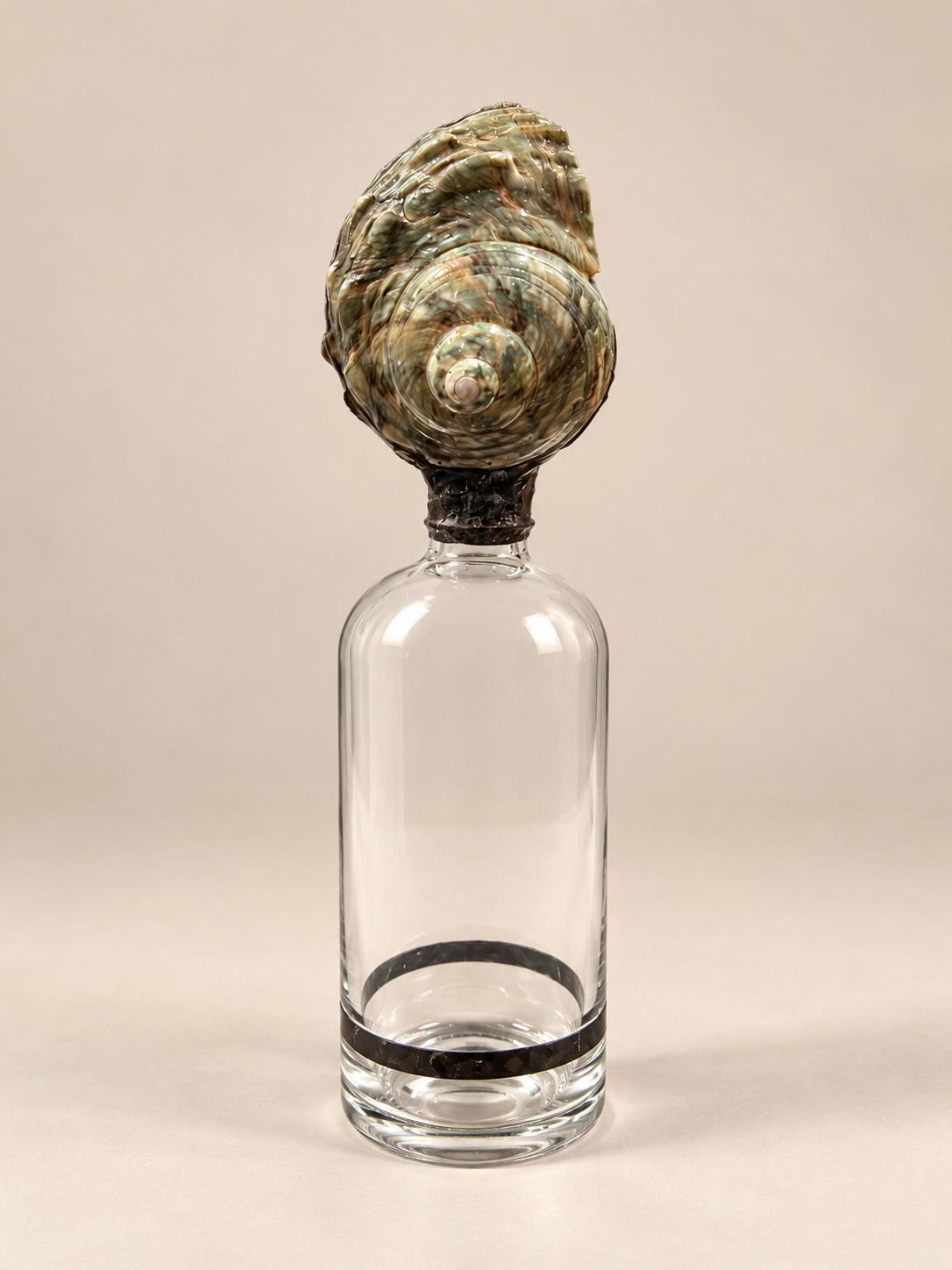 Sea Shapes - Large Nautilus