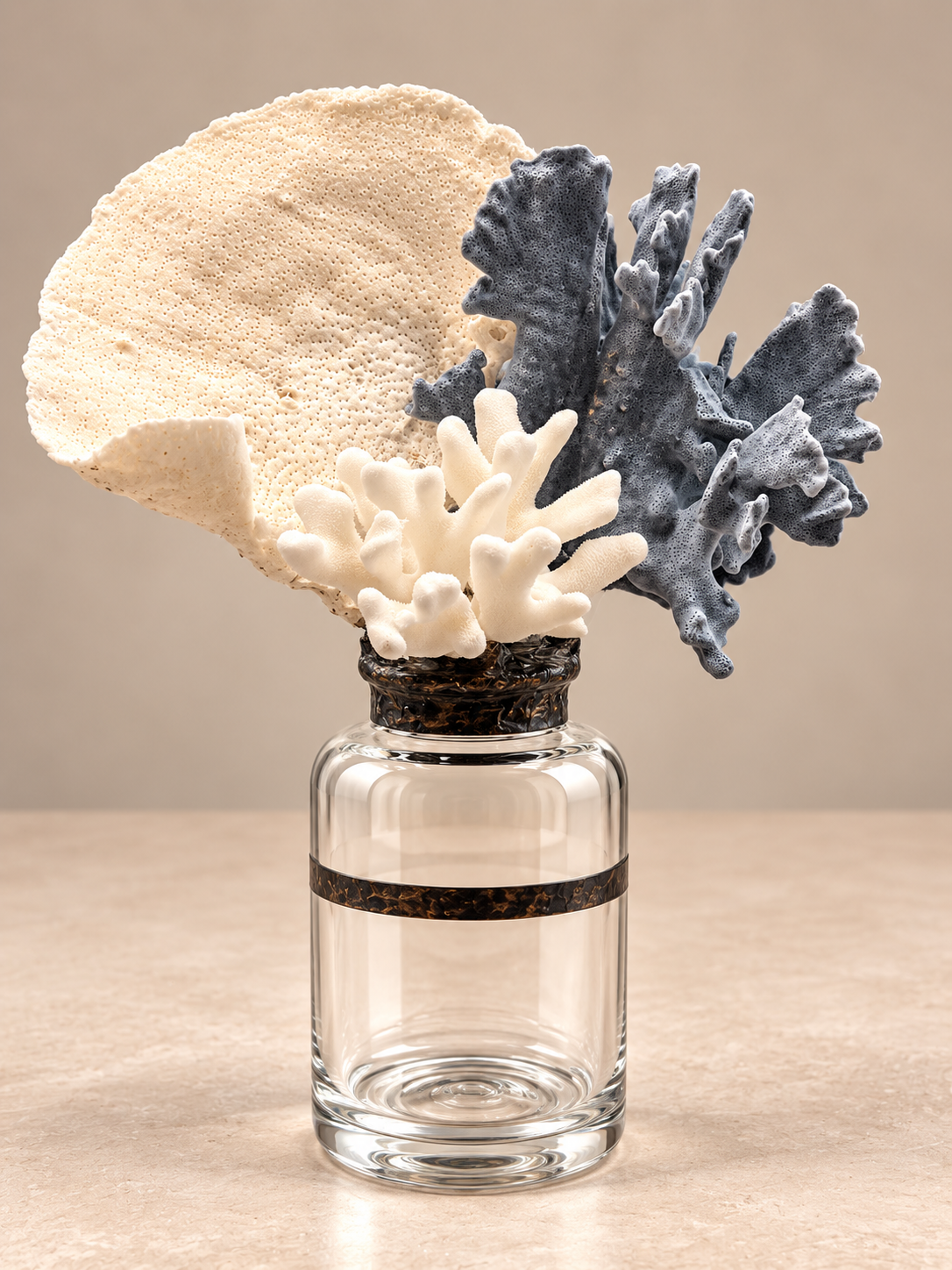 The Blue & White Reef