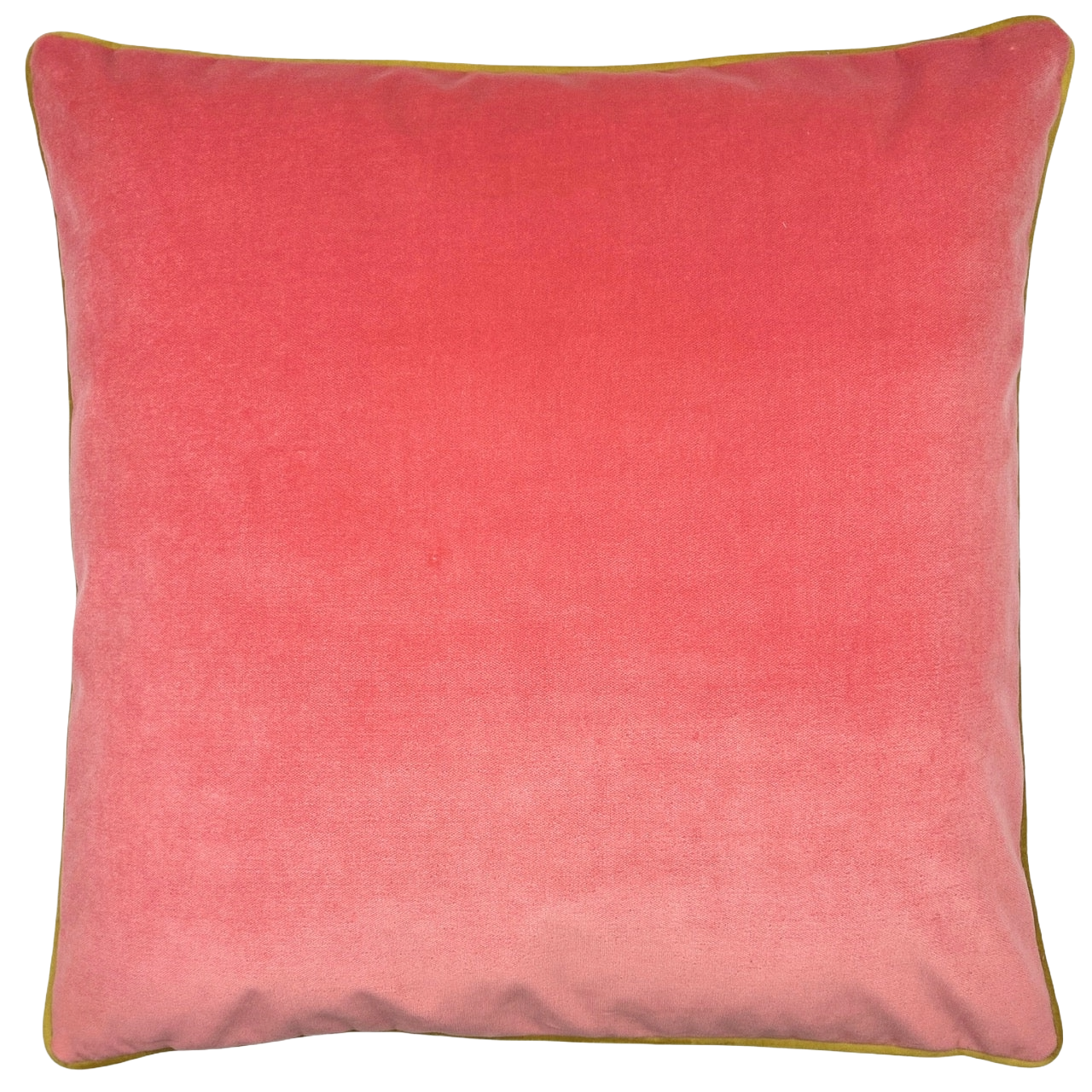 The Soft Focus Velvet Pillow Coral