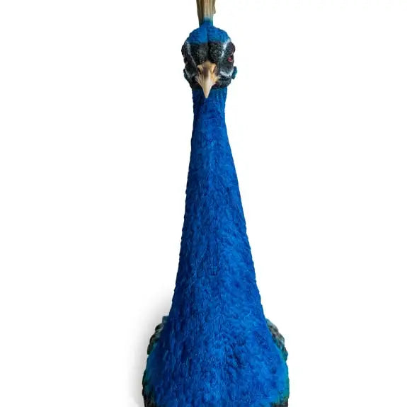 The Royal Palms Peacock