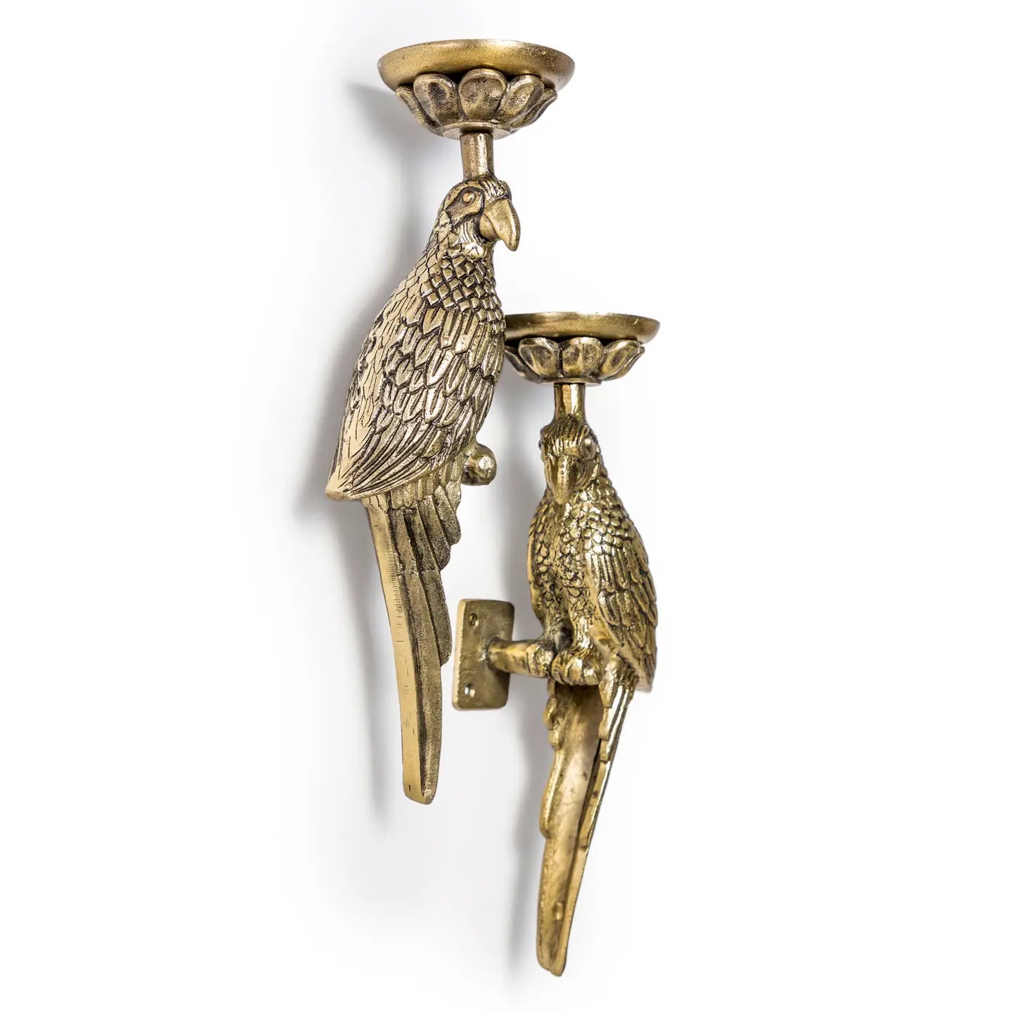 Parrot Lounge Sconces
