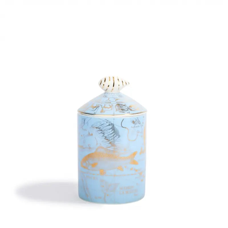Maison La Bougie- Pisces