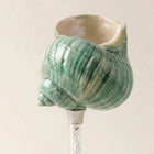 Maris Seashell Cocktail Glasses, Set of 4