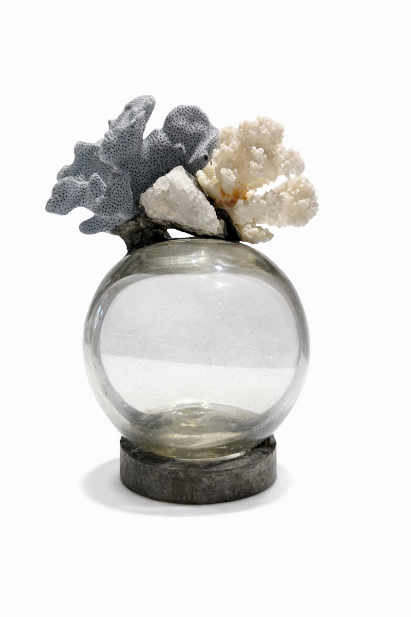 Moonlight Bottle Coral