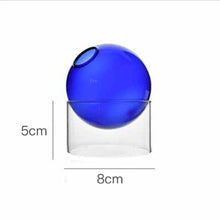Blue Short The Celestial Vase