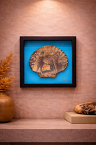 Coral Aviary Shell Shadow Box