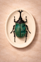 Hanging Beetles