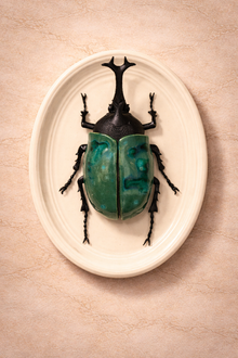 Hanging Beetles