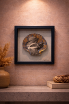 Coral Aviary Shell Shadow Box