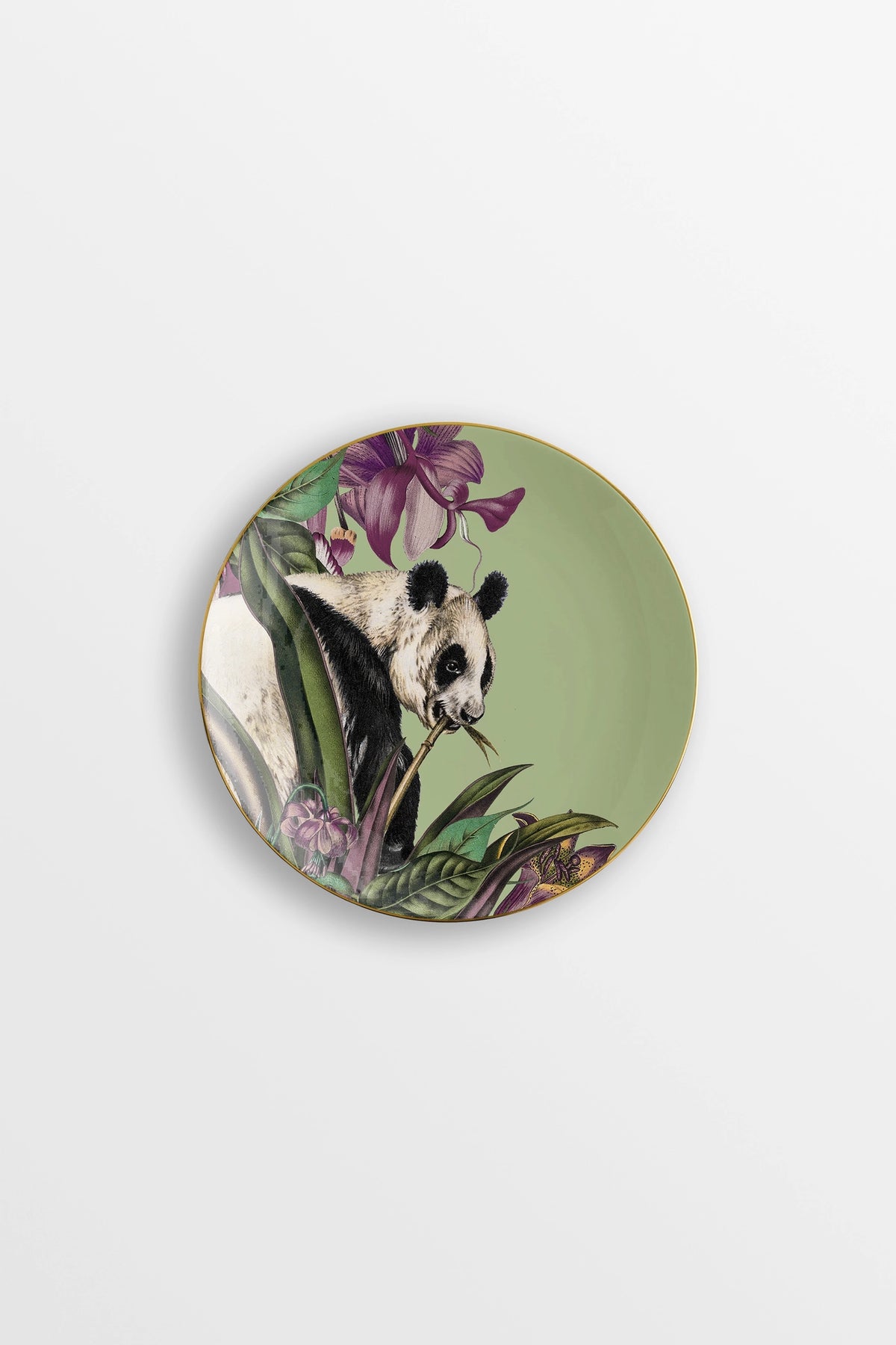 Animalia Set of 6 Porcelain Bread Plates