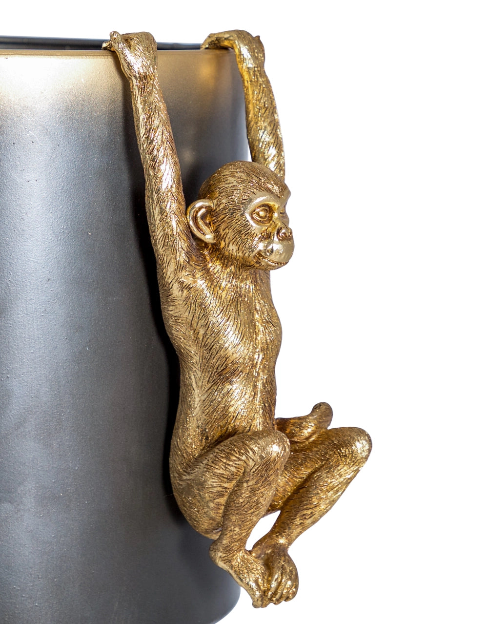 Curious Climber Vase Hugger