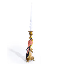 Parrot Society Candlestick