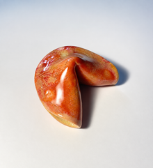The Lucky Fortune Cookie