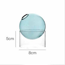 Light Blue Short The Celestial Vase