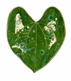The Palm Oasis Tray