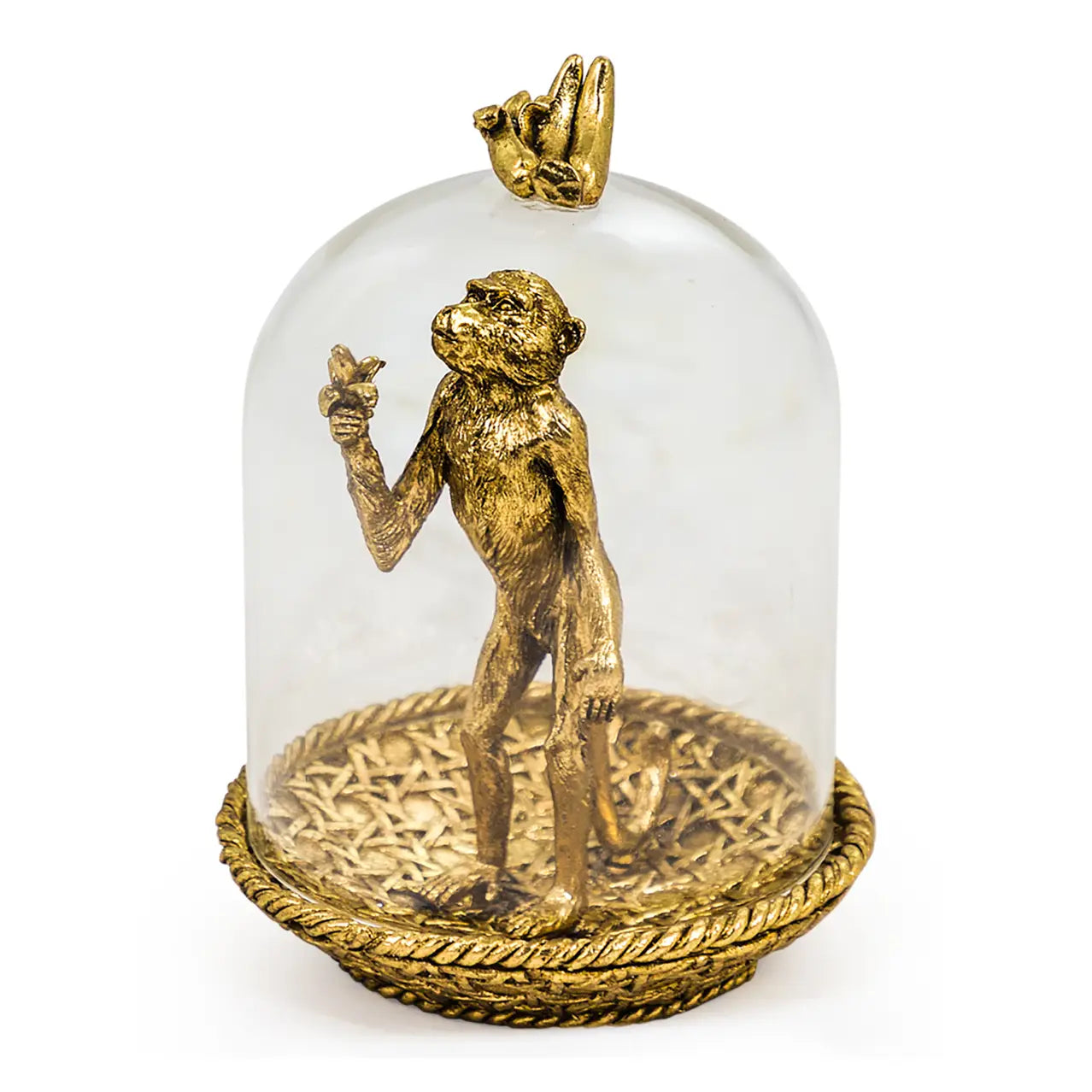 The Curious Camper Cloche