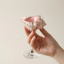 Maris Seashell Cocktail Glasses, Set of 4