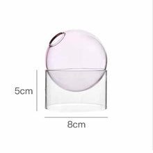 Pink Short The Celestial Vase