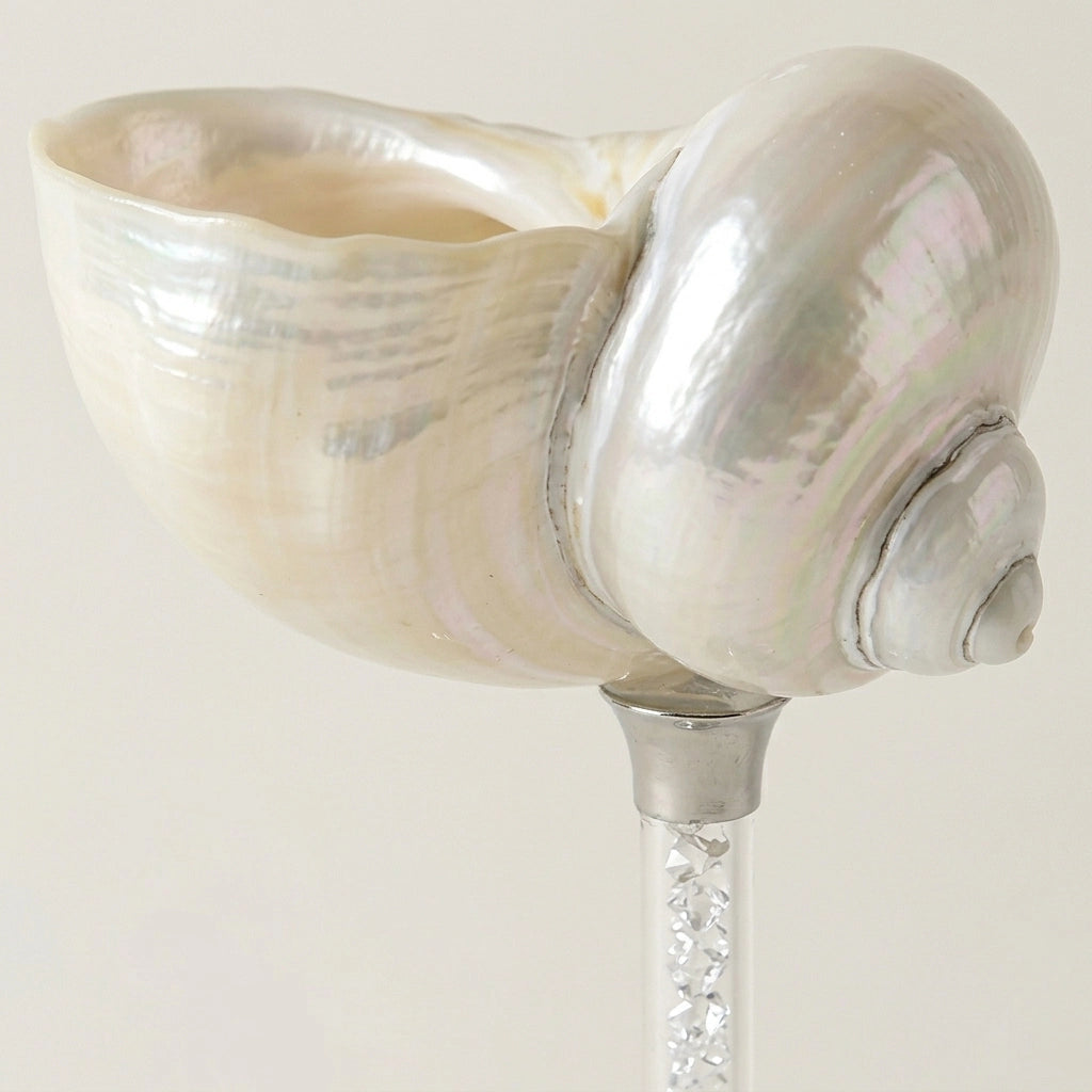 Maris Seashell Cocktail Glasses, Set of 4