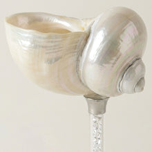 Maris Seashell Cocktail Glasses, Set of 4