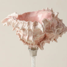 Maris Seashell Cocktail Glasses, Set of 4