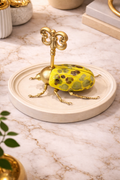 Key Beetle Yellow