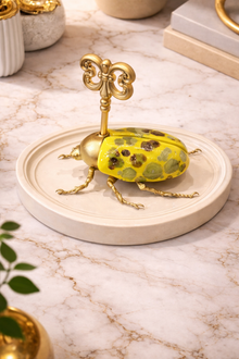 Key Beetle Yellow