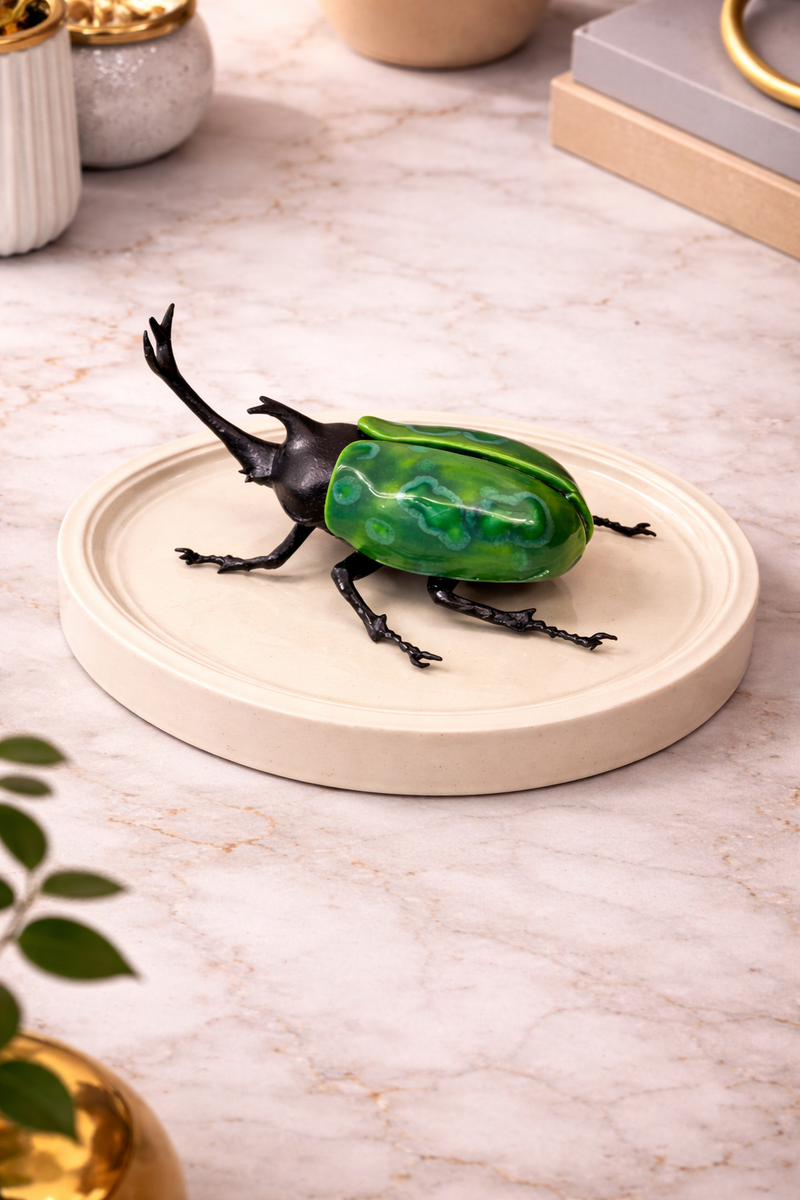 Jewel Beetle