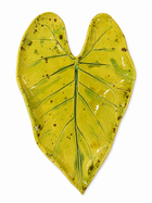 The Palm Oasis Tray