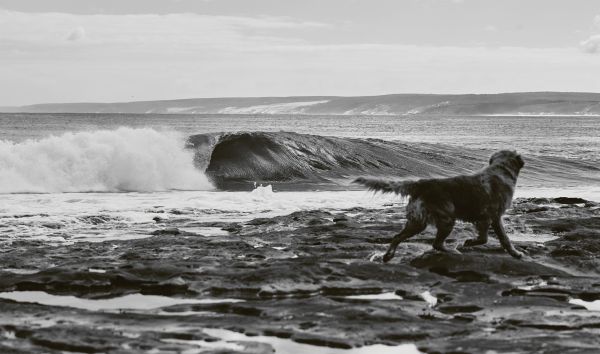 Life Around The Sea By, Russell Ord and Alex Workman