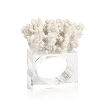 The Hidden Reef Napkin Holder