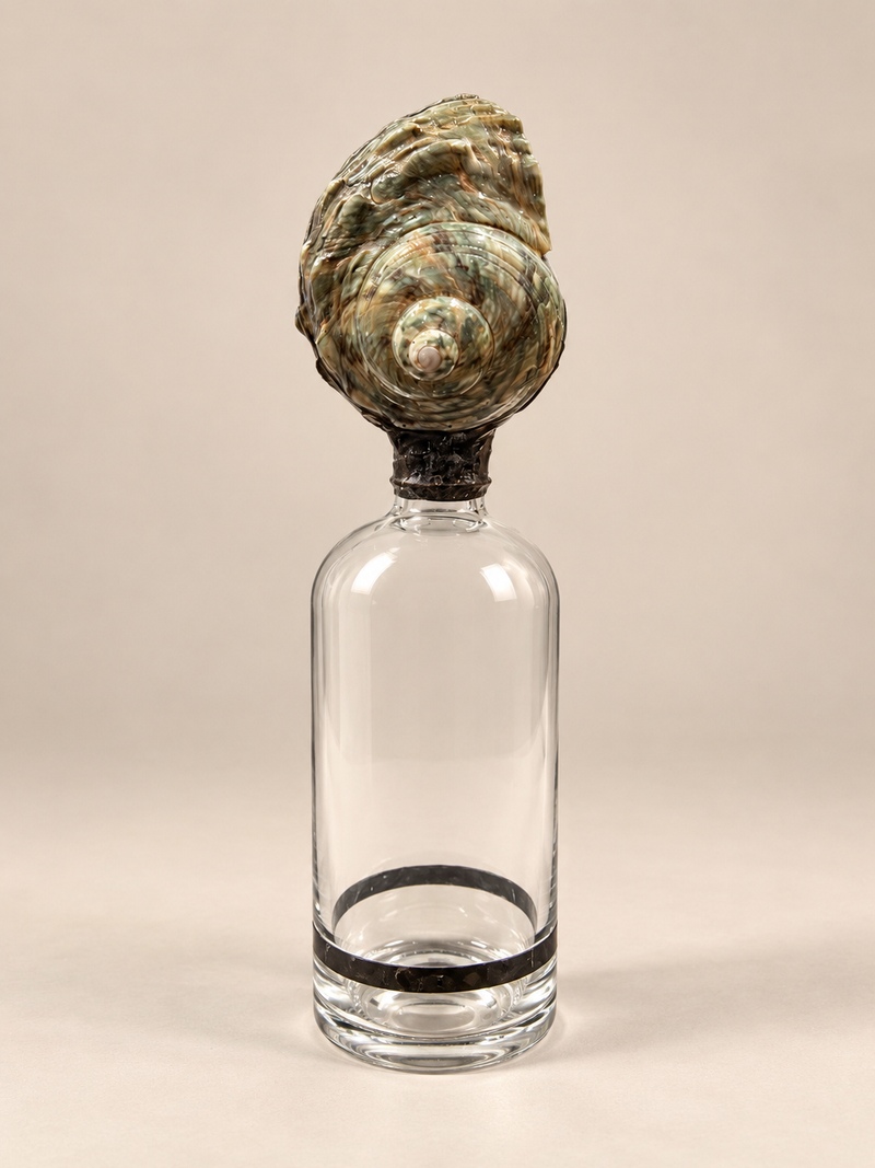 Sea Shapes - Large Nautilus