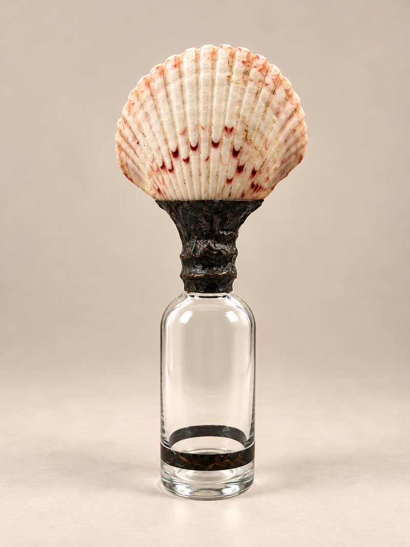 Sea Dance - Scallop