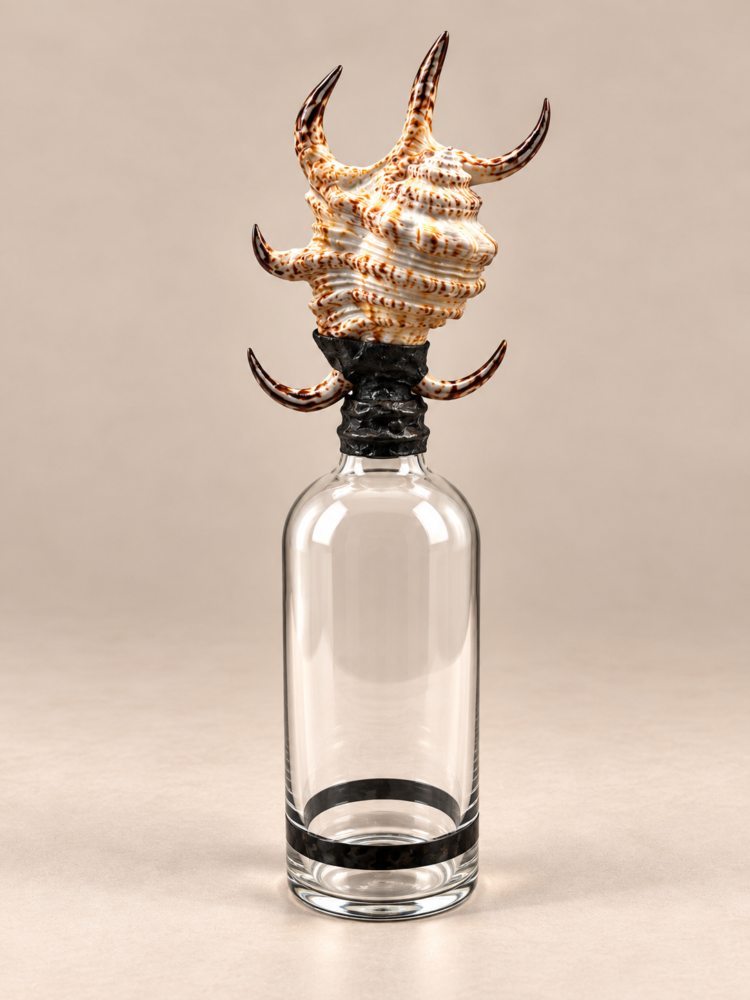 Ocean Finds - Medium Murex