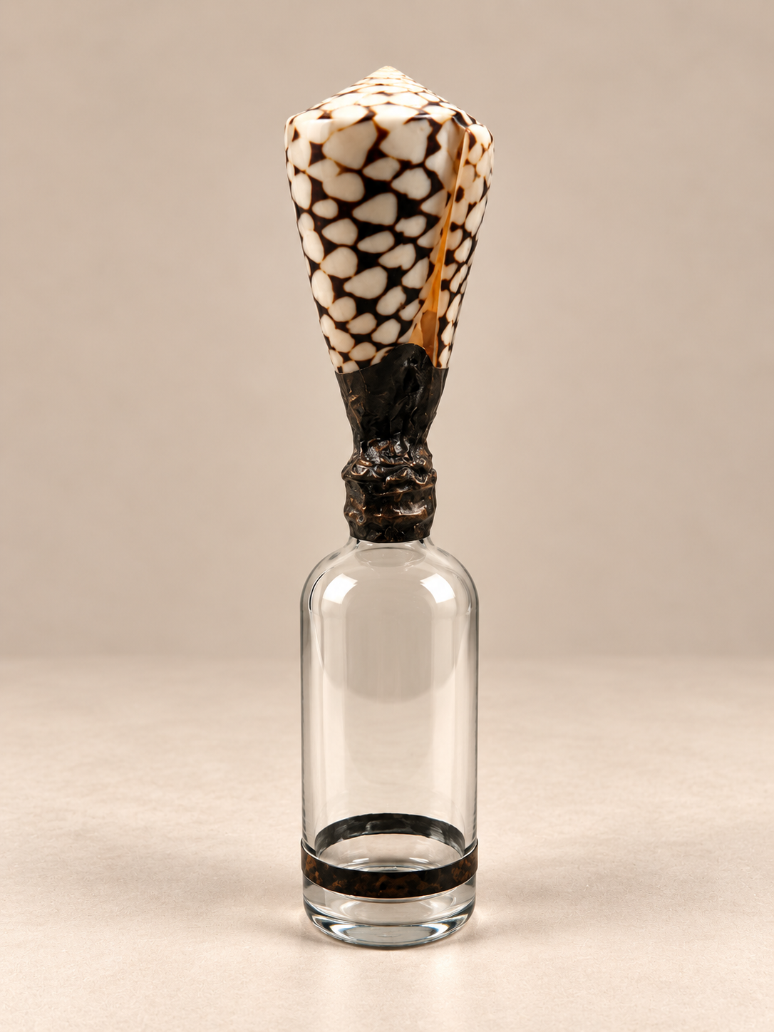 Sea Dance - Cone Shell