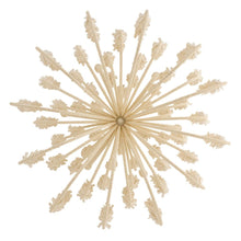Kaia Chandelier