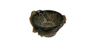 Ardmore Ceramic Art - Leopard Bowl