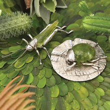 Emerald Cricket