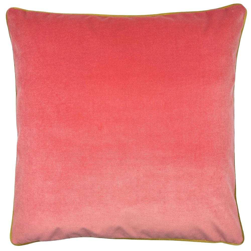 The Soft Focus Velvet Pillow