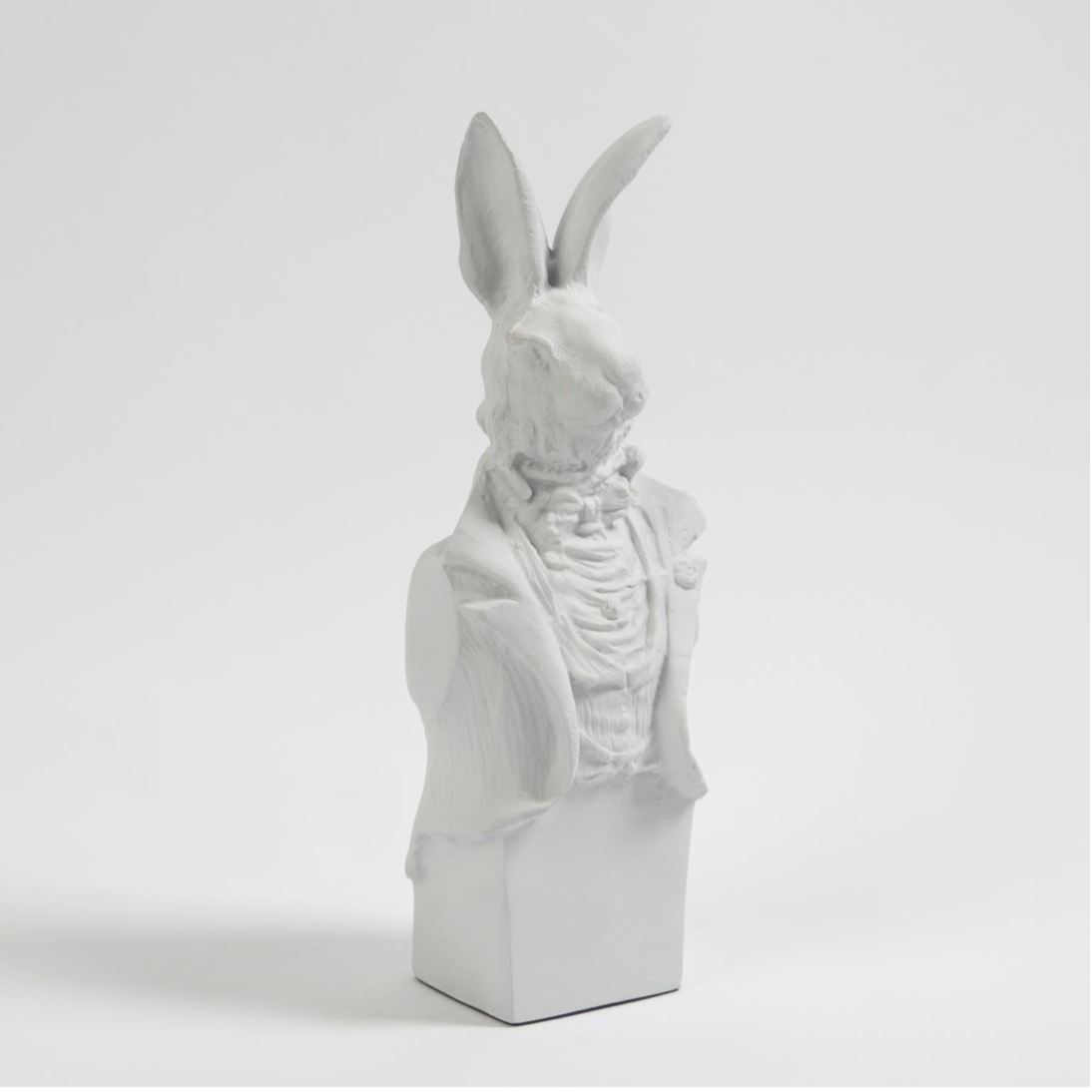 Tuxedo Rabbit
