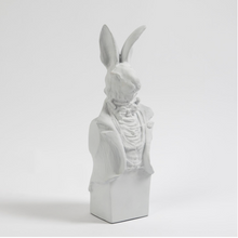 Tuxedo Rabbit