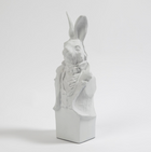 Tuxedo Rabbit