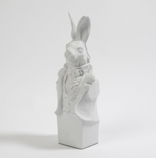 Tuxedo Rabbit