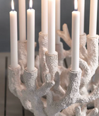 The Grand Reef Candelabra