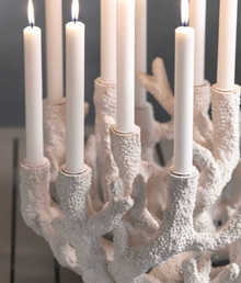The Grand Reef Candelabra