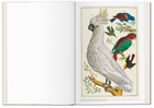 Seba. Cabinet of Natural Curiosities