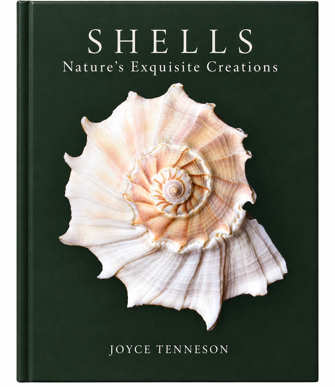 Shells By Joyce Tenneson