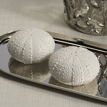 White Urchin Salt & Pepper Set of 2