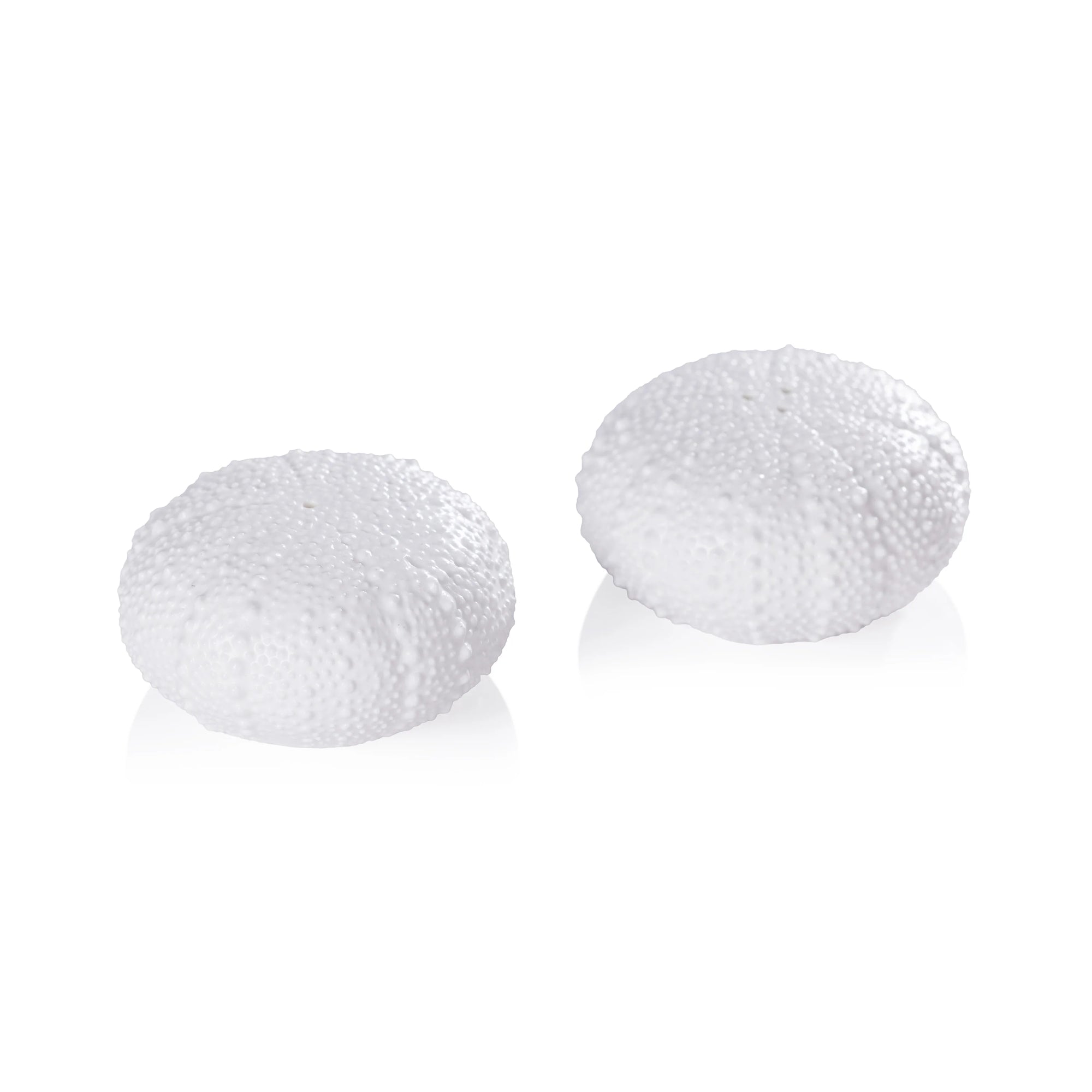 White Urchin Salt & Pepper Set of 2